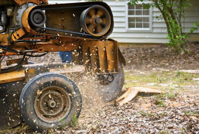 stump removal in nebraska