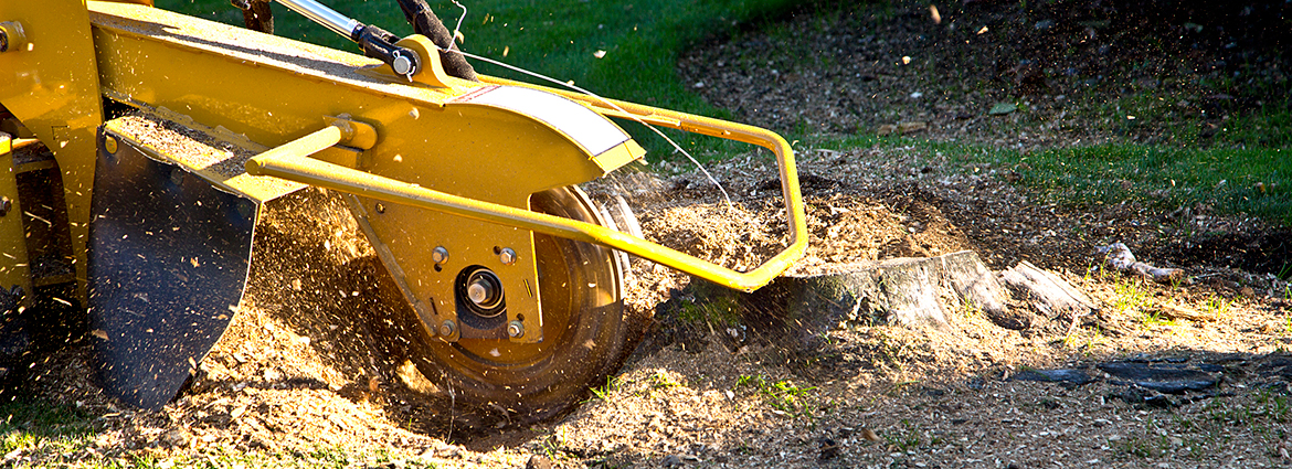 NE Stump Removal